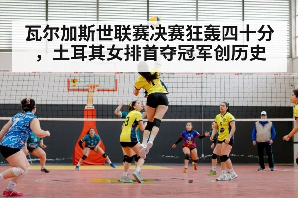 vargas spike volleyball